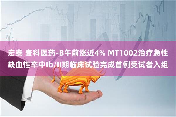 宏泰 麦科医药-B午前涨近4% MT1002治疗急性缺血性卒中Ib/II期临床试验完成首例受试者入组