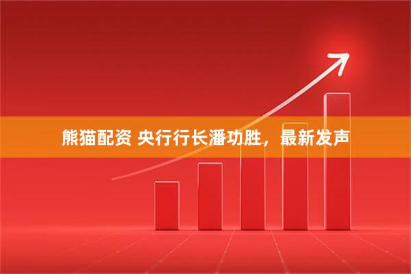熊猫配资 央行行长潘功胜，最新发声